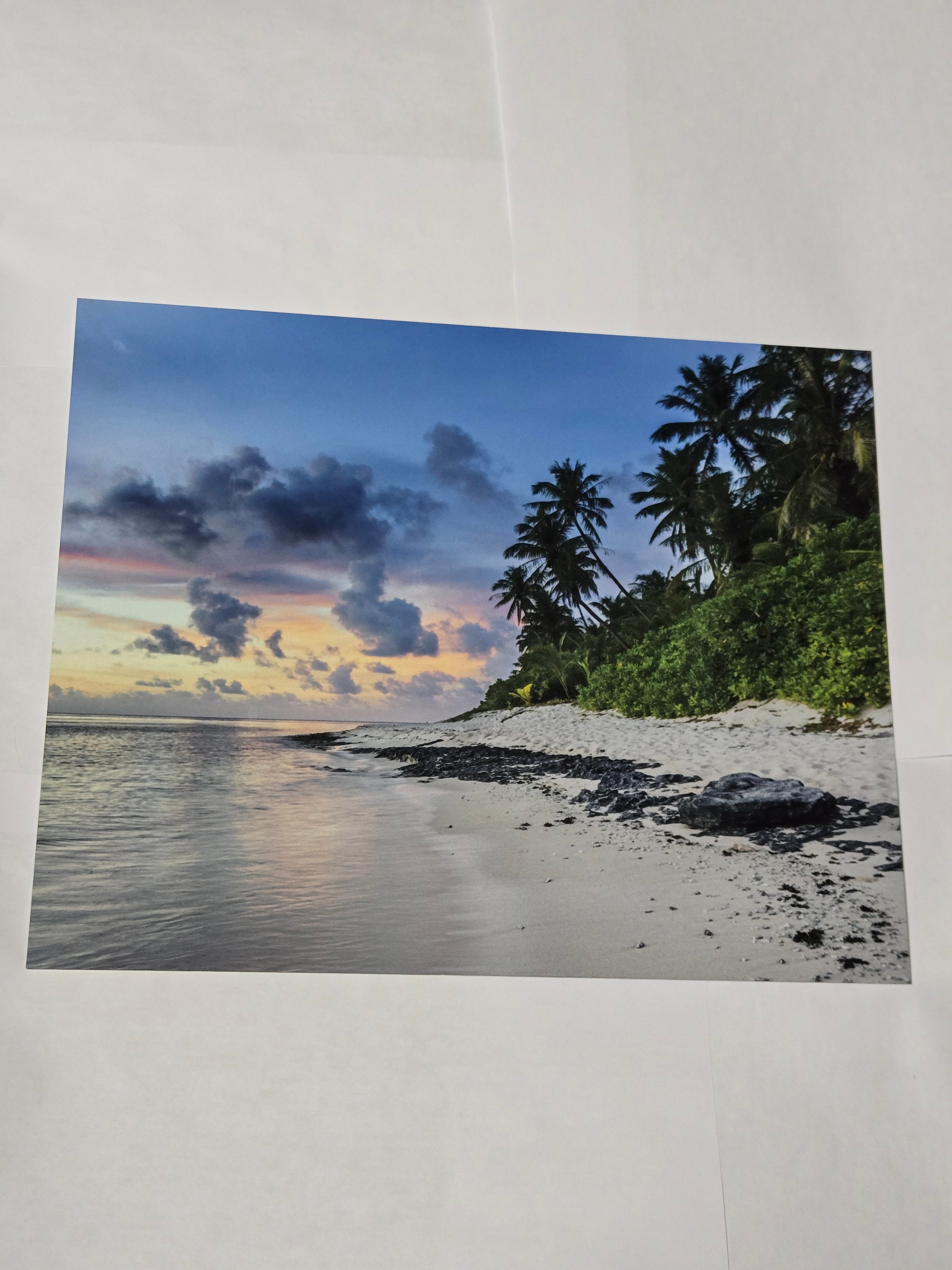 8 by 10 glossy aluminum print of a beach scene with palm trees and sunset.